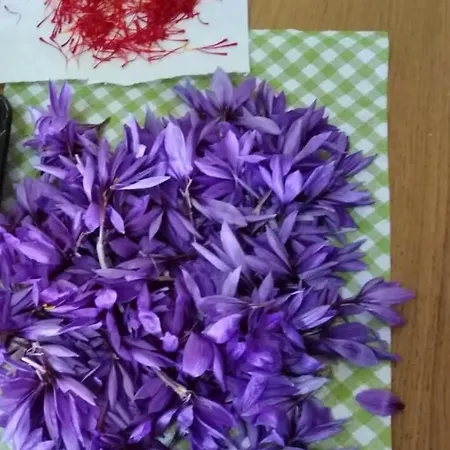 Casale Stella * Казальбордино