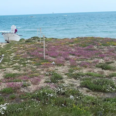 아파트 Casale Stella