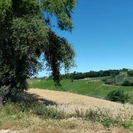 아파트 Casale Stella