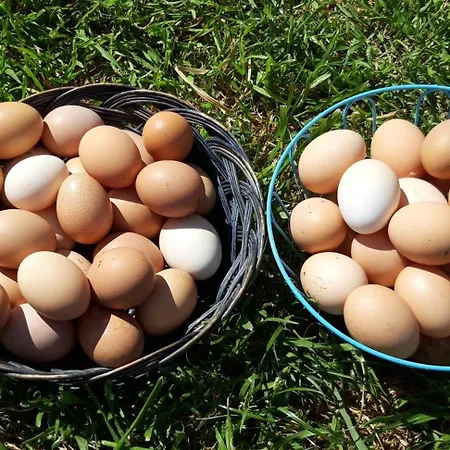 아파트 Casale Stella 카살보르디노