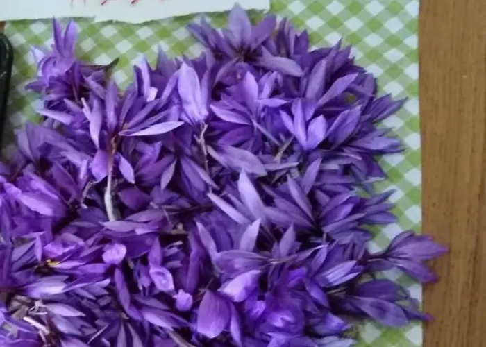 Casale Stella * Casalbordino