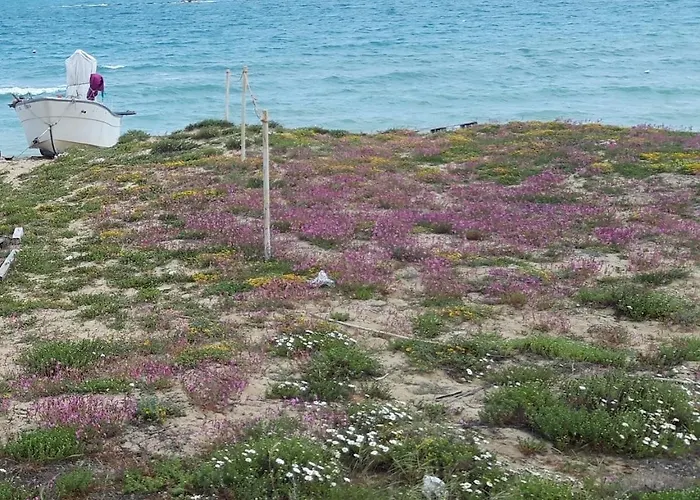 Διαμέρισμα Casale Stella