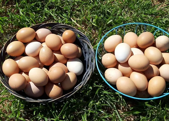 Διαμέρισμα Casale Stella Casalbordino