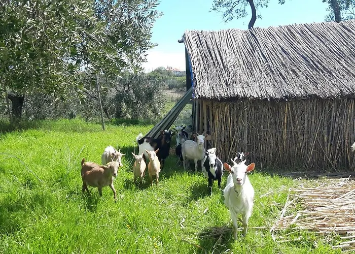 Casale Stella * Казальбордино